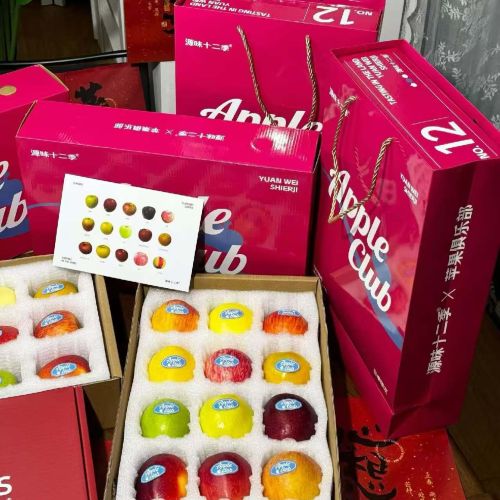 精选|十二色潘多拉苹果|1箱|次日配送