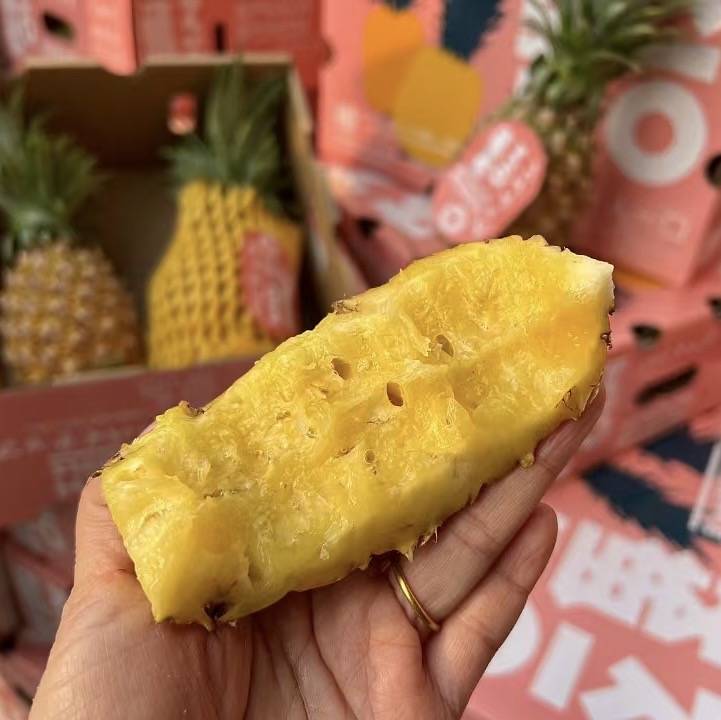 海南|一人一口金钻凤梨|3头净重5斤|1箱|次日配送