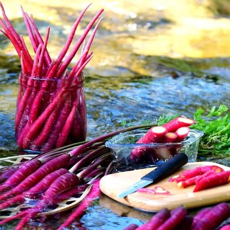 高山蔬菜|有机紫玉胡萝卜|1斤|次日配送