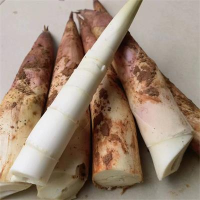 精选|特级春笋|偏差2两以内|3斤|次日配送