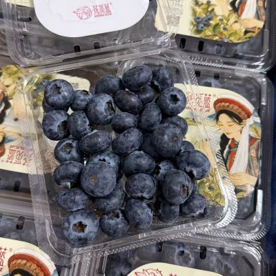 云南|花觅蓝花香蓝莓（18mm+）|125g/小盒|12小盒|次日配送