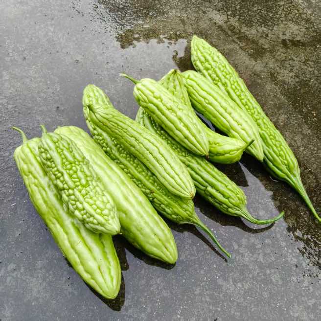 高山蔬菜|苦瓜|偏差2两以内|1.1斤|次日配送