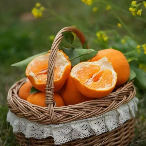 四川|晓橘春见|净重7.5斤|1箱|次日配送