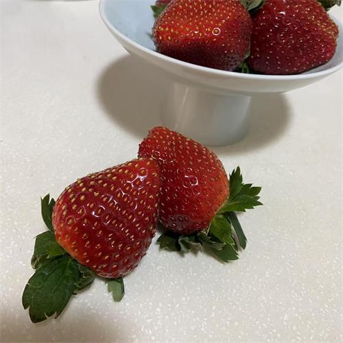 下沙|黑草莓|8~20g之间，含篮子1.5斤|1篮|次日配送