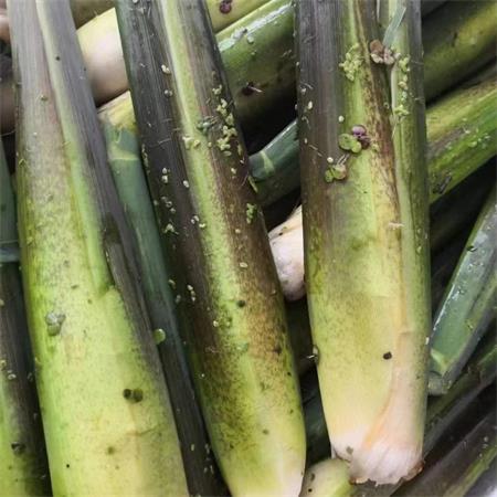 精选|冷水茭白|肉质甜丝丝|3斤|次日配送