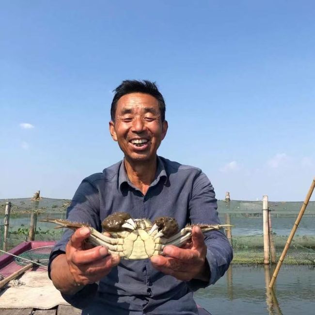 苏州|阳澄湖（3.5公，2.5母，各5只）|1盒