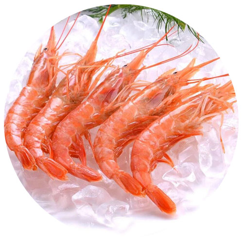 海鲜|红头虾|1斤|8月5日配送