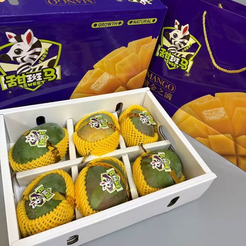 攀枝花|树上熟凯特芒|5/6头|1箱|次日配送