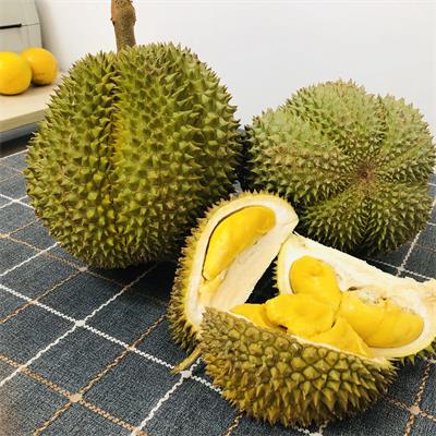 泰国|金凤榴莲（3.21-3.4斤）|1个
